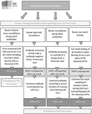 Control and Eradication Programs for Six Cattle Diseases in the Netherlands